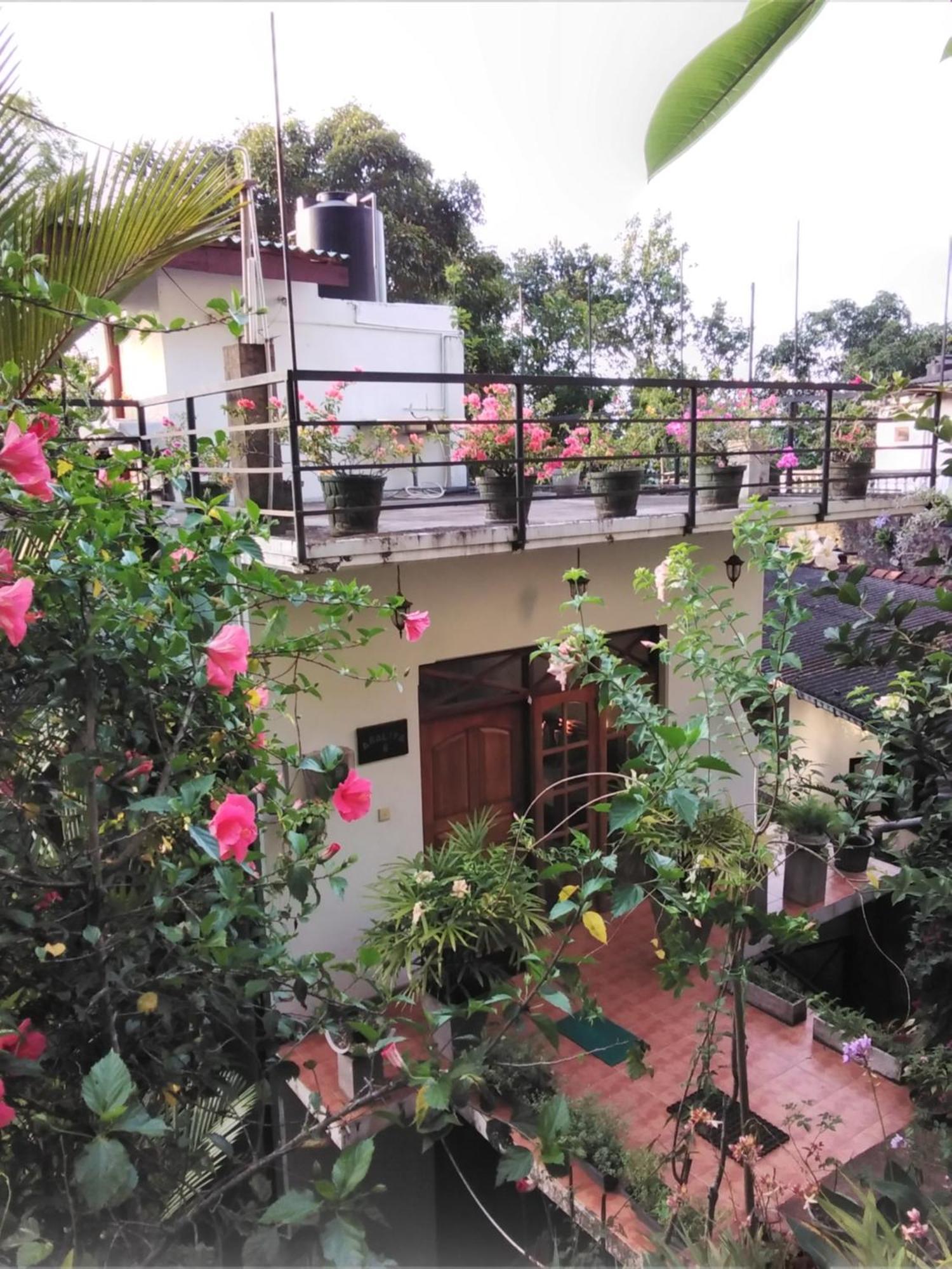 Araliya Home Stay Канди Екстериор снимка