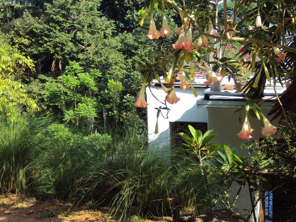 Araliya Home Stay Канди Екстериор снимка