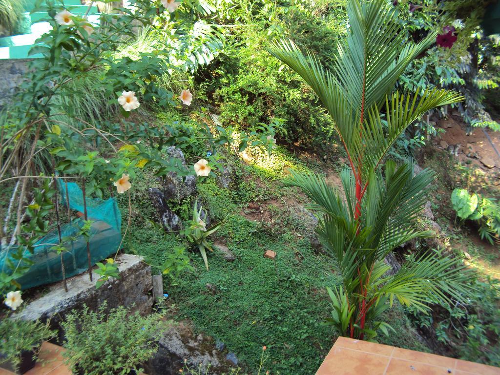 Araliya Home Stay Канди Екстериор снимка